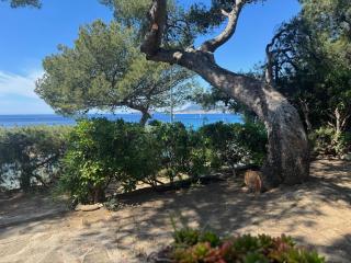 Le Paradis Marin - Les Lecques - 9