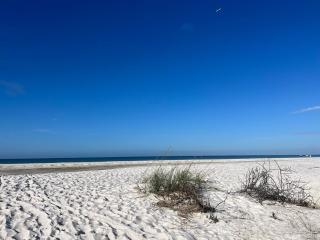 Sun and fun! Adorable 1 bedroom condo on the beach - 4