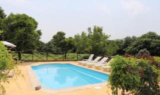 Casa da Quinta da Castanheira - Cepões - 9
