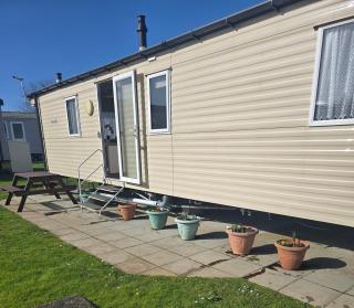Trecco bay birch - Newton - 5