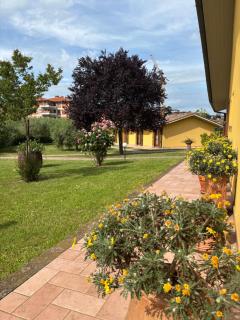 Le Macerine - Castiglione del Lago - 9