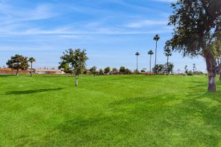 Mesa Oasis - Mesa - 7