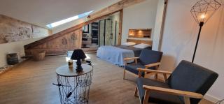 Le cosy du Théâtre, duplex confortable au centre de Chambéry - Chambéry - 0