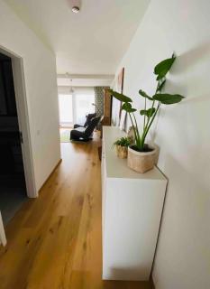 Wunderschöne Wohnung - Niederdorla - 4