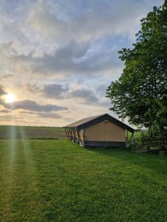 Glamping Safaritent 4 persoons - Hindeloopen - 5