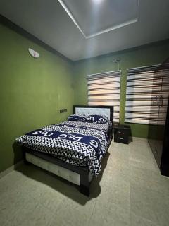 Stem Properties - Lagos - 1