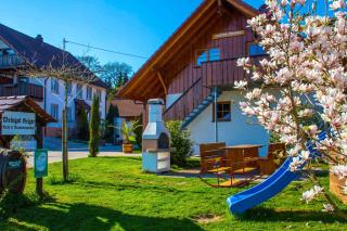 Weingut Geiger - Meersburg - 9