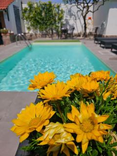 Dafne Home - Pompei - 3