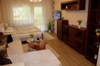 Jókai Apartman Szarvas - Szarvas - 9