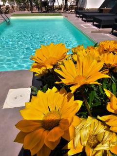Dafne Home - Pompei - 5