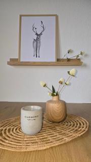 Apartment Waldliebe Ankommen Und Wohlfühlen - Bad Sachsa - 8