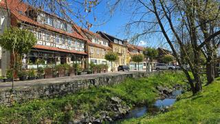 Apartment Waldliebe Ankommen Und Wohlfühlen - Bad Sachsa - 7
