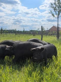 FERME DU POIRIER, Piscine & Spa - Isdes - 9