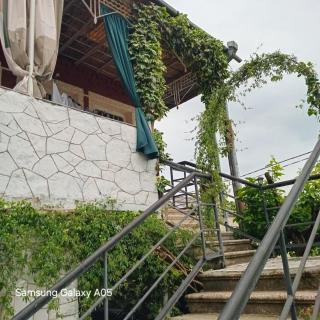 PETREIBERY Garden - Kutaisi - 5