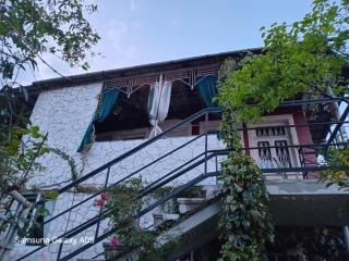 PETREIBERY Garden - Kutaisi - 4