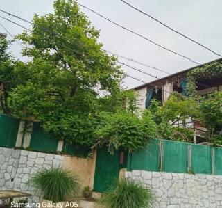 PETREIBERY Garden - Kutaisi - 7