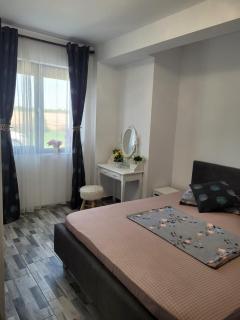 Steaua de Mare Apartment - Agigea - 0