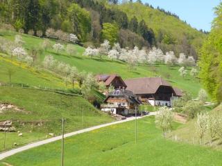 Eisenmannhof - Gengenbach - 8