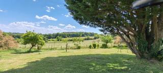 Chambre d'hôte, Jacuzzi ext, piscine ext, Cosy nature avec Grand Salon, wifi, salle de bain, parking - La Roche-Posay - 7