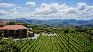Casa do Santo - Wine & Tourism - Provesende - 9