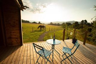 The Lily Pod - Abergavenny - 8