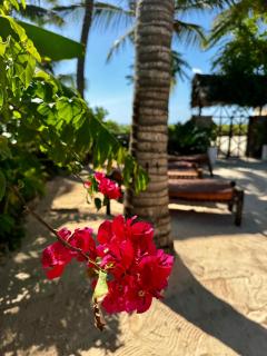 Villa Kipara - Private Beach & Pool - Pwani Mchangani - 8