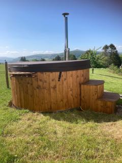 The Lily Pod - Abergavenny - 7