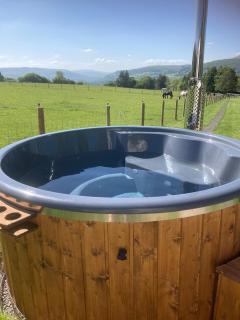 The Lily Pod at Nest and Loaf - 6