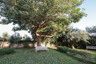 Jos Villa - Belvedere - 6