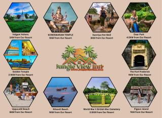 Jungle View Inn - Trincomalee - 8