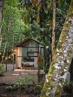 Green Shelter - Tena - 9