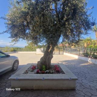 Casale Marcalia - bed & breakfast - Corigliano Calabro - 8