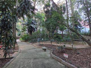 Refúgio Verde na Cidade - São Paulo - 1