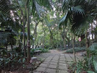 Refúgio Verde na Cidade - São Paulo - 3
