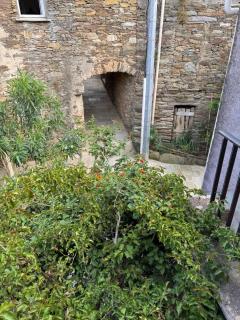 Joli T2 in Cap Corse - Ersa - 6