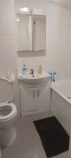 Modern Apartment in Southeast London - Plumstead - 9