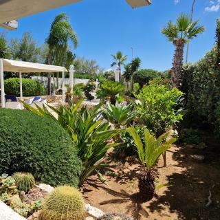 Angolo di Paradiso - Favignana - 4