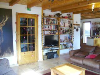 Chalet la Perle - Montriond - 1
