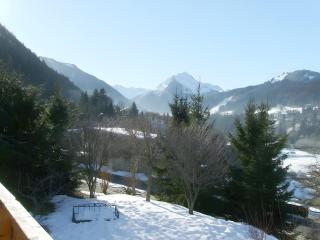 Chalet la Perle - Montriond - 4