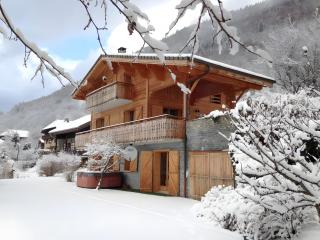 Chalet la Perle - Montriond - 6