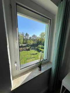 Charming 3-Room Apartment in Hoyerswerda, Lusatian Lake District - Hoyerswerda - 7