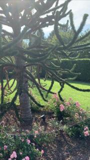 Amazing Private Villa - Caorle - 3
