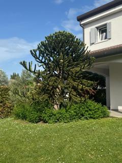 Amazing Private Villa - Caorle - 2