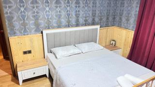 Mountain View Deluxe Villa & pool - Gabala - 4