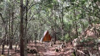 Kamp Nattivo - Sutatausa - 8