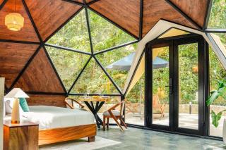 Cabo Real Luxury Glamping - El Aguacate - 5