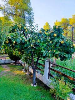 Iresioni Traditional villa - Vourvourou - 2