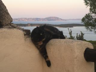 House with amazing view - Conca Verde - 3