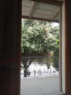 My DREAM - San Pietro in Campiano - 3