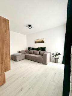 Cozy flat - Sibiu - 8